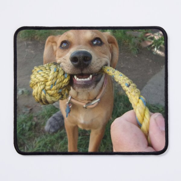 Item preview, play with me designed and sold by Gorneault.