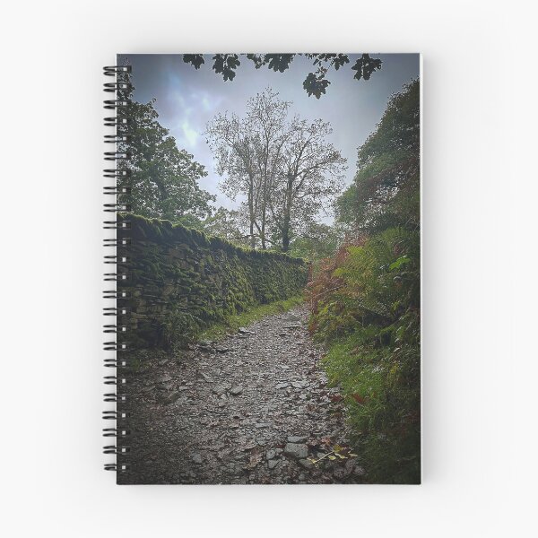 Item preview, Lake District Bridleway designed and sold by Graz-Photos.