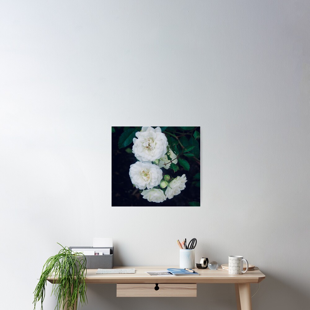 Item preview, Poster designed and sold by Shulie1.