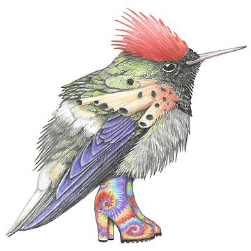 Artwork thumbnail, Tufted Coquette Hummingbird in Tie Dye Boots. by JimsBirds