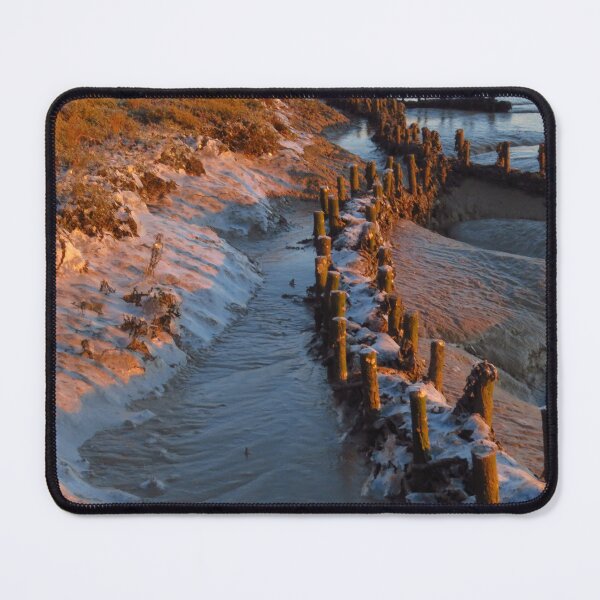 Item preview, Spiling Riverbank Stabilisation, River Deben designed and sold by wiggyofipswich.