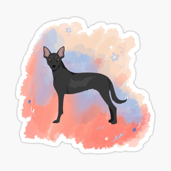 Vista previa del artículo con la obra «xoloitzcuintli», diseñado y vendido por bvdesignart.