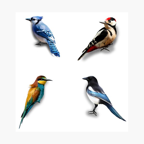 Item preview, Birds, birds  designed and sold by MonikaLauda.