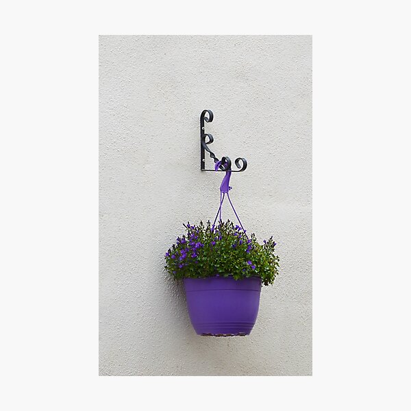 Item preview, Purple reigns designed and sold by Paul Pasco.