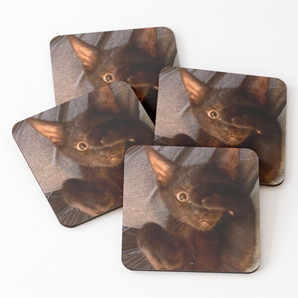 Item preview, Kitten designed and sold by Gorneault.