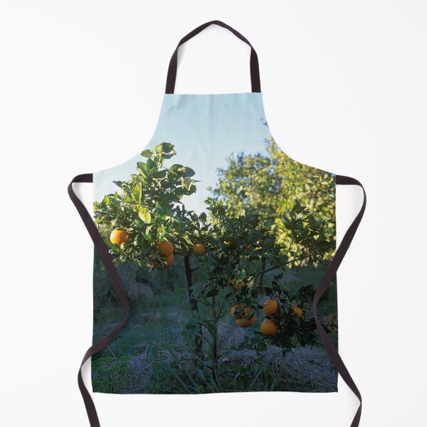 Item preview, Parc Natural de l'Albufera de València, Spain 2022 designed and sold by Michel Meijer.