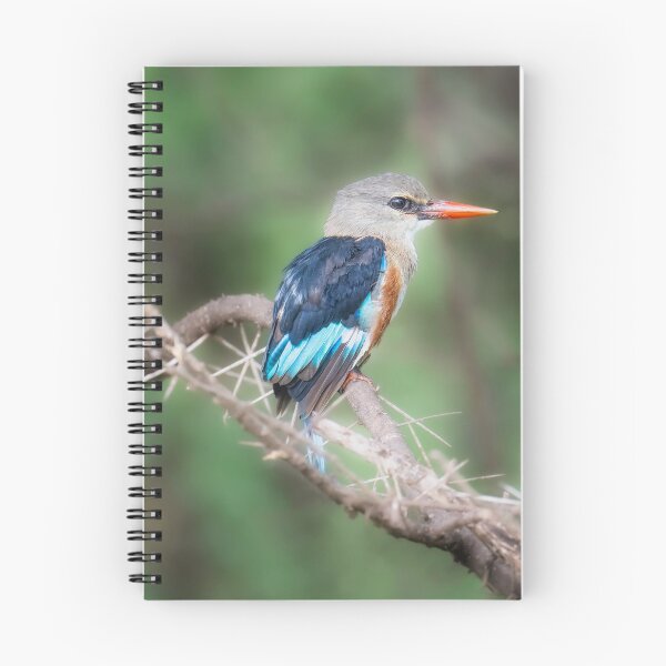Item preview, Grey-Headed Kingfisher Tanzania Africa designed and sold by PhotoArt by Joan Carroll.