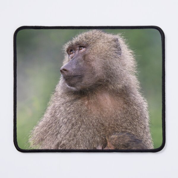 Item preview, Mom and Baby Baboon Tanzania Africa designed and sold by PhotoArt by Joan Carroll.
