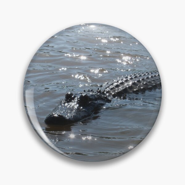 Item preview, Alligator swimming in sunlight dappled swamp, New Orleans, Louisiana, USA designed and sold by buttonpresser.