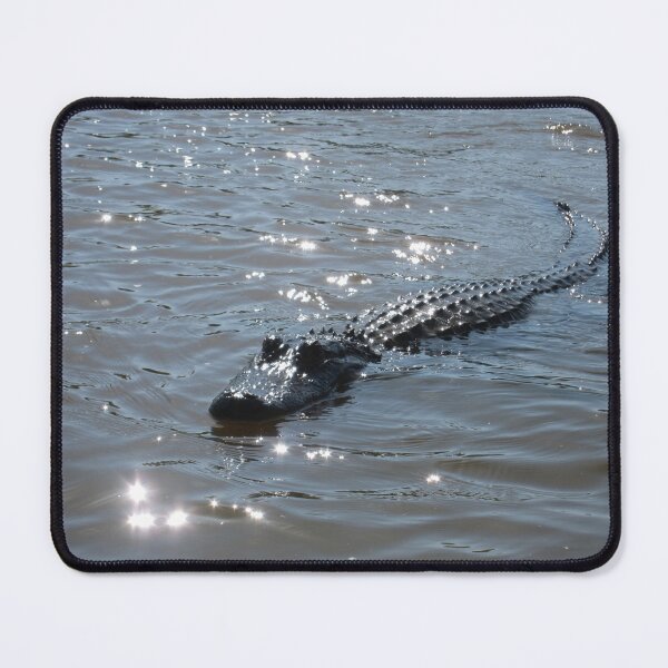 Item preview, Alligator swimming in sunlight dappled swamp, New Orleans, Louisiana, USA designed and sold by buttonpresser.