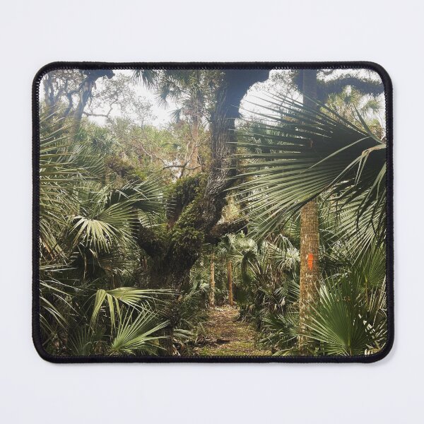 Item preview, To Walk Across Florida designed and sold by Jason Tompkins.