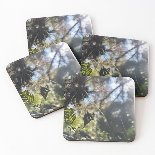 Item preview, The Green Swamp designed and sold by Jason Tompkins.