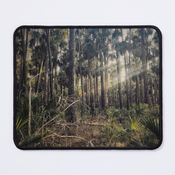 Item preview, Cathedral Of Palms designed and sold by Jason Tompkins.