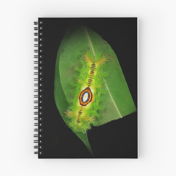 Item preview, Stinging Nettle Slug Caterpillar 17 designed and sold by itchydogimages.