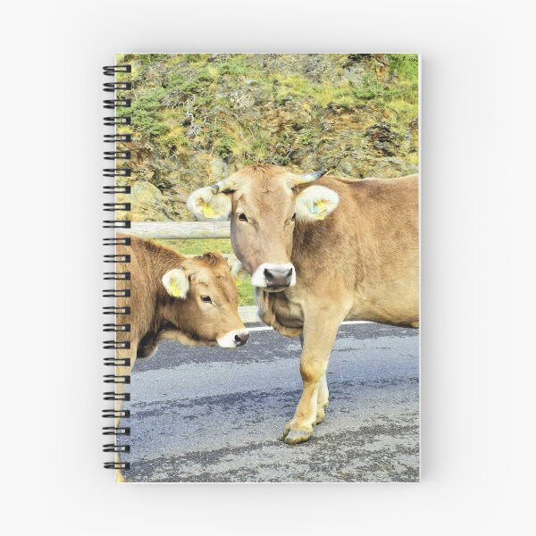 Item preview, Cornered cows designed and sold by Stillherex.com Stillherex.es.