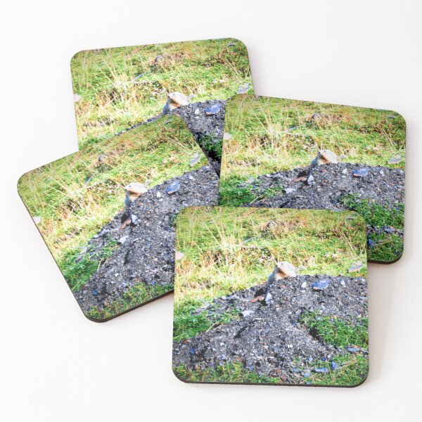 Item preview, Marmot in burrow designed and sold by Stillherex.com Stillherex.es.