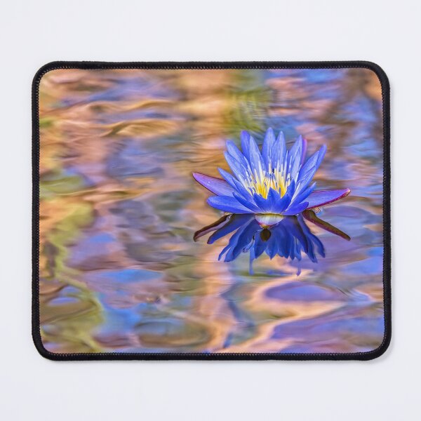 Item preview, Blue Waterlily designed and sold by Kay Brewer.