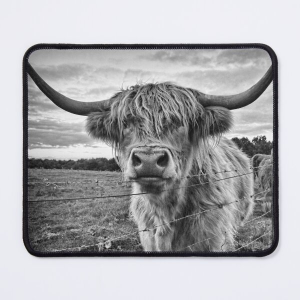 Item preview, Black and White Cow designed and sold by WoodenT.