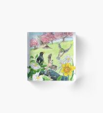 Spring in New Zealand Acrylic Block