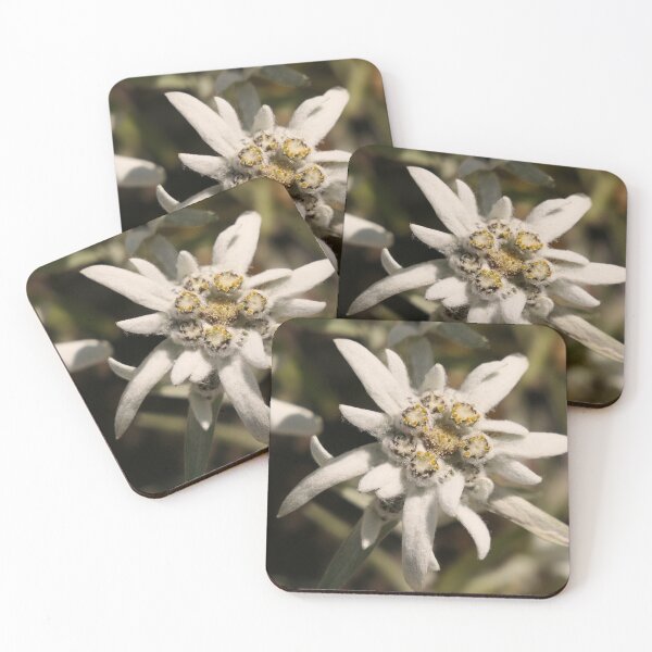 Item preview, Edelweiss Flower designed and sold by SACRED NATURE DESIGNS.