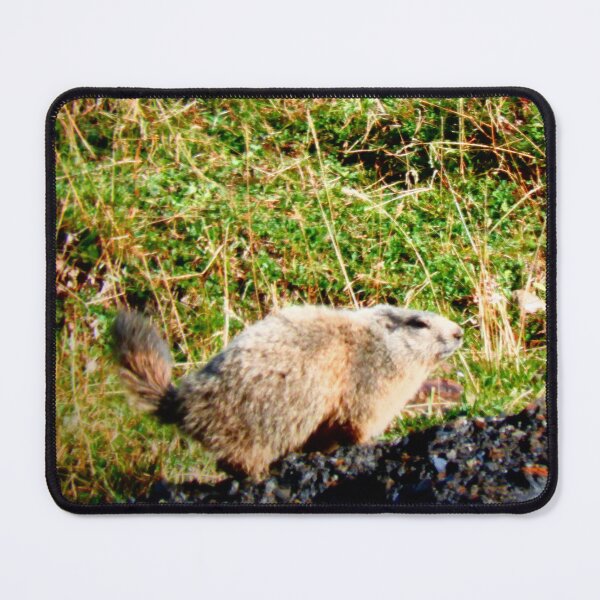 Item preview, alpine marmot designed and sold by Stillherex.com Stillherex.es.