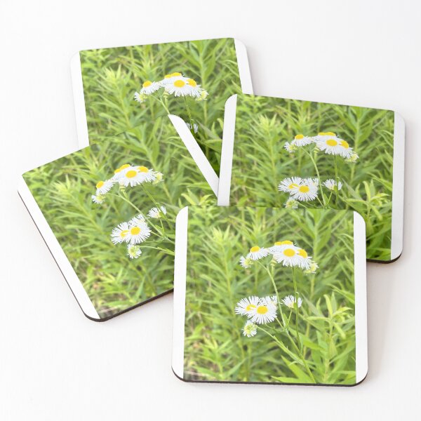 Item preview, Margaritas (¿pulgas?) designed and sold by AriamarArt.