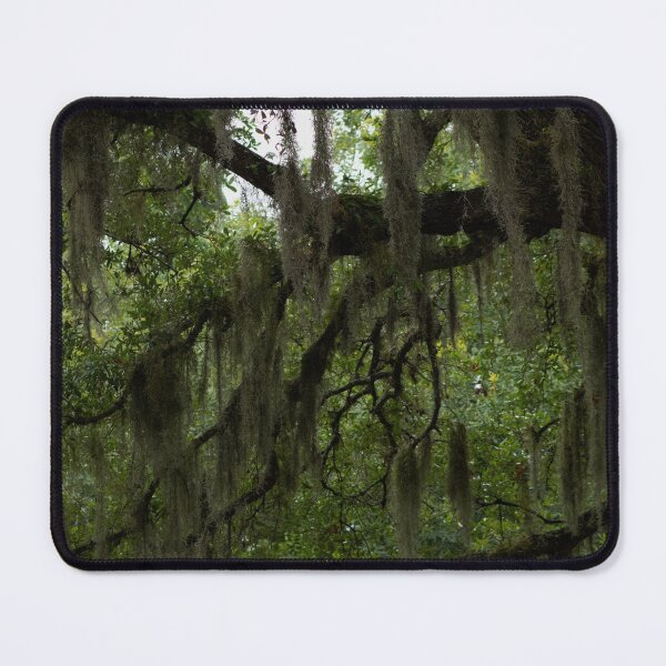 Item preview, Spanish Moss designed and sold by cheyanne-pm.