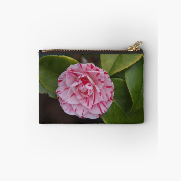 Item preview, Camellia Stripes designed and sold by lezvee.