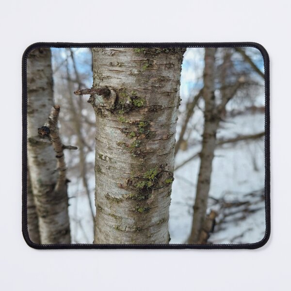 Item preview, Hawthorn Tree Trunk designed and sold by Pachewba.