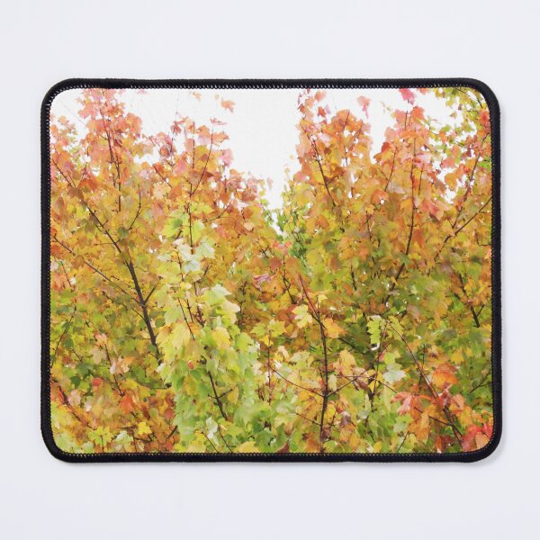 Item preview, A Wash Of Yellow Maples designed and sold by RVogler.