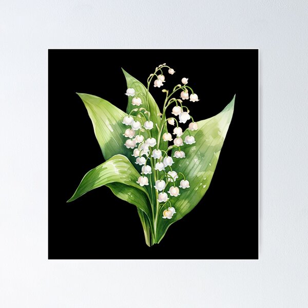 Artikelvorschau, Maiglöckchen, Liliendesign, Blumen, Blumenkunst, Aquarellillustration von Maiglöckchen, giftige Pflanze, Mai, Geburtsblume entworfen und verkauft von Dahlann.