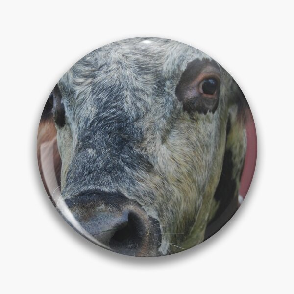 Item preview, Bull in front of Red Barn  designed and sold by rpm1photography.