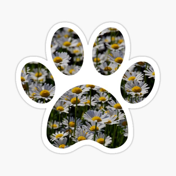 Item preview, Daisy Flower Paw Print  designed and sold by KingExpressions.