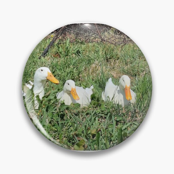 Item preview, Three Pekin Ducks in the grass field designed and sold by Reelyfishing.