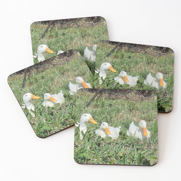 Item preview, Three Pekin Ducks in the grass field designed and sold by Reelyfishing.