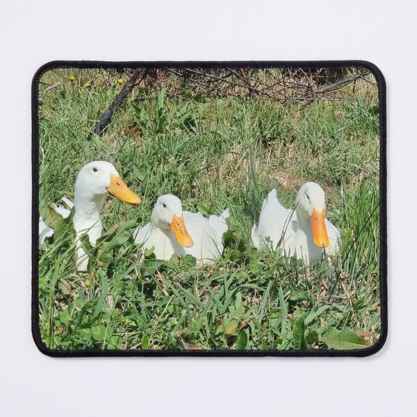 Item preview, Three Pekin Ducks in the grass field designed and sold by Reelyfishing.