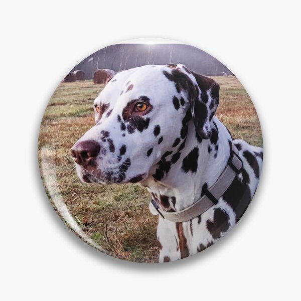 Item preview, Dalmatian At The Farm designed and sold by TheAnimalZ00.