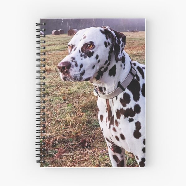 Item preview, Dalmatian At The Farm designed and sold by TheAnimalZ00.