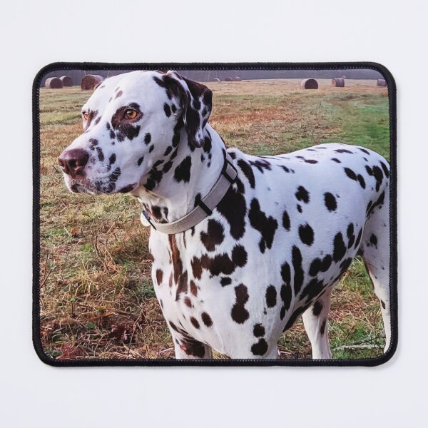 Item preview, Dalmatian At The Farm designed and sold by TheAnimalZ00.