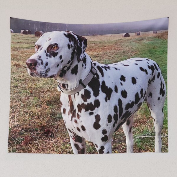 Item preview, Dalmatian At The Farm designed and sold by TheAnimalZ00.