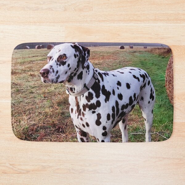 Item preview, Dalmatian At The Farm designed and sold by TheAnimalZ00.