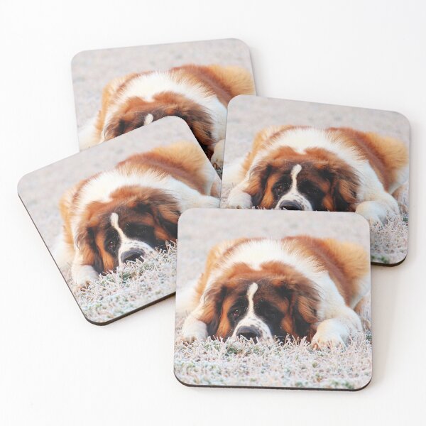 Item preview, Cute St Bernard Photo designed and sold by TheAnimalZ00.