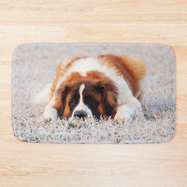 Item preview, Cute St Bernard Photo designed and sold by TheAnimalZ00.