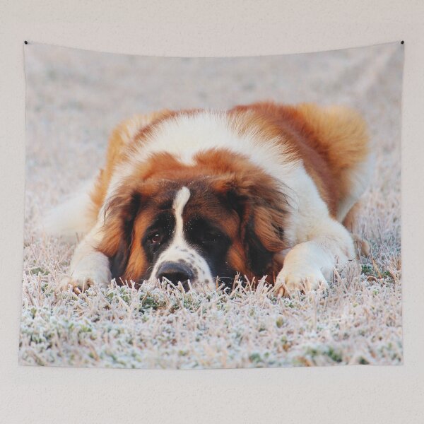 Item preview, Cute St Bernard Photo designed and sold by TheAnimalZ00.