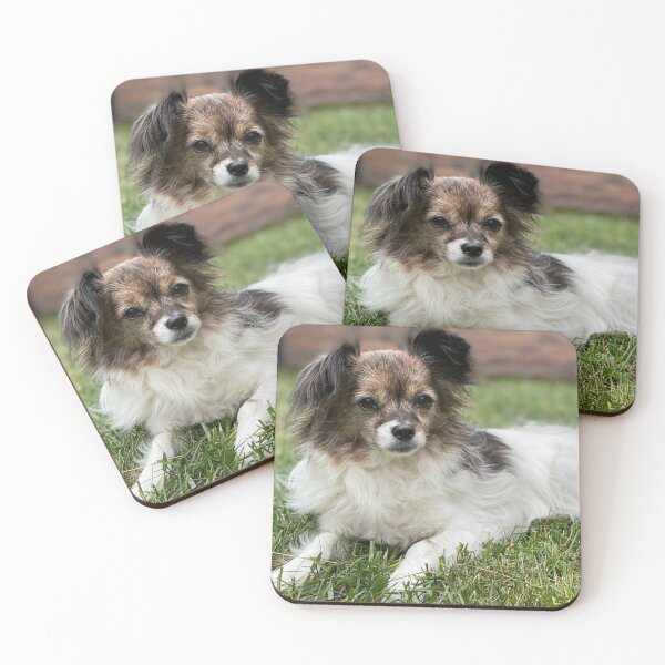 Item preview, Papillon Photo designed and sold by TheAnimalZ00.