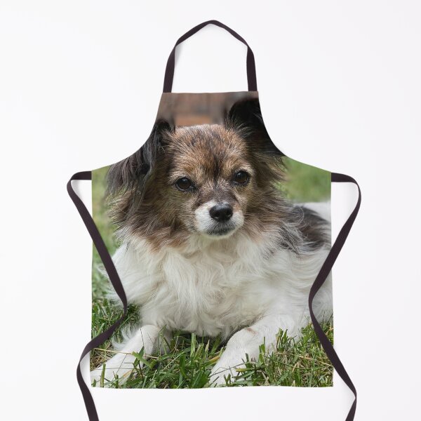 Item preview, Papillon Photo designed and sold by TheAnimalZ00.