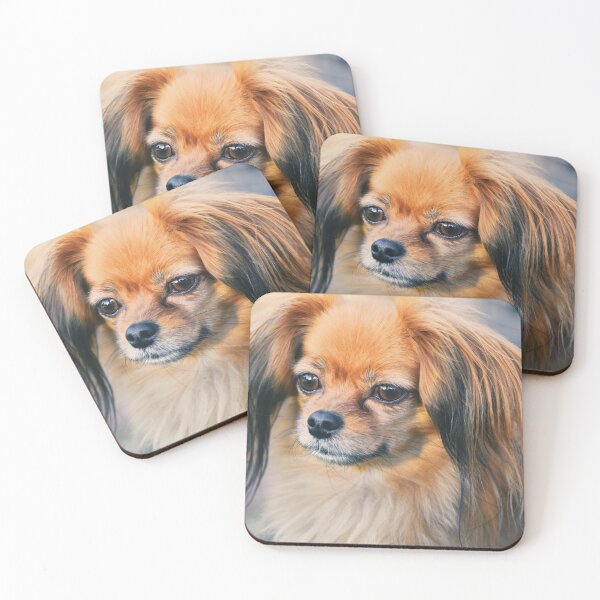 Item preview, Cute Papillon Face designed and sold by TheAnimalZ00.