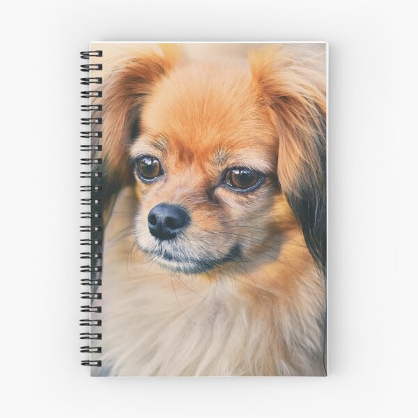 Item preview, Cute Papillon Face designed and sold by TheAnimalZ00.