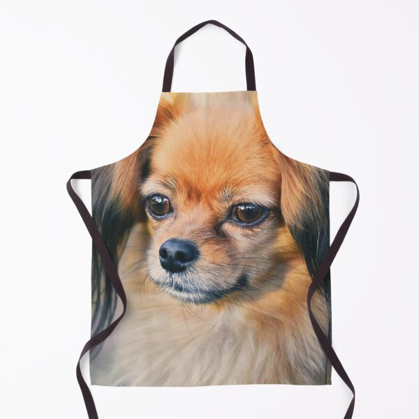 Item preview, Cute Papillon Face designed and sold by TheAnimalZ00.