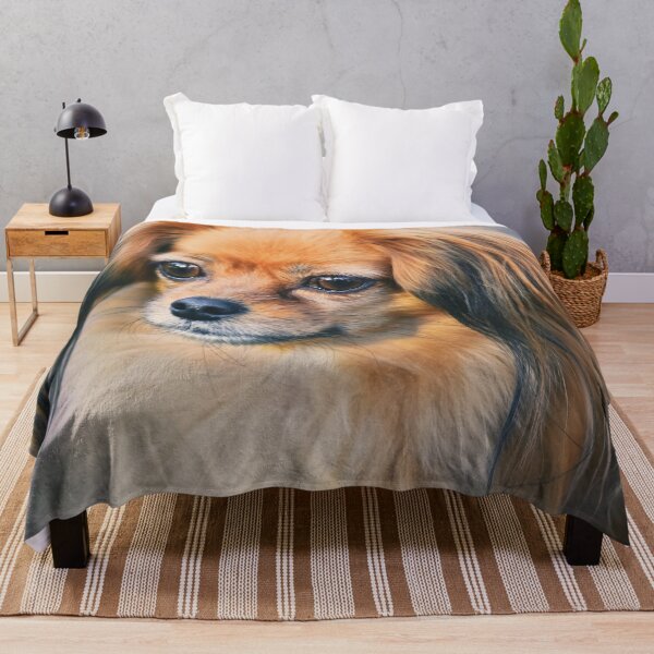 Item preview, Cute Papillon Face designed and sold by TheAnimalZ00.
